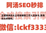 正规债务优化公司有哪些工作人员参与,债务优化好做吗。