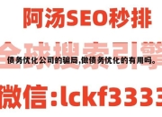 债务优化公司的骗局,做债务优化的有用吗。