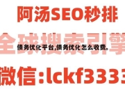 债务优化平台,债务优化怎么收费。