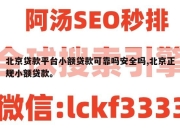 北京贷款平台小额贷款可靠吗安全吗,北京正规小额贷款。