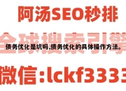 债务优化是坑吗,债务优化的具体操作方法。