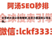 北京的小贷公司有哪些,北京小额贷款公司名称。