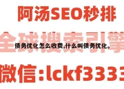 债务优化怎么收费,什么叫债务优化。